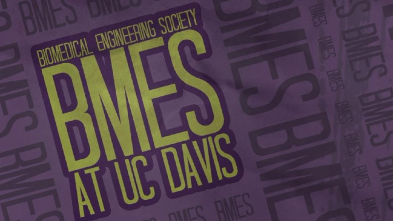 BMES Logo