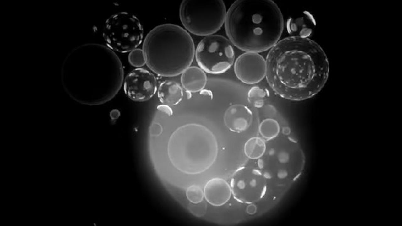 Bubbles