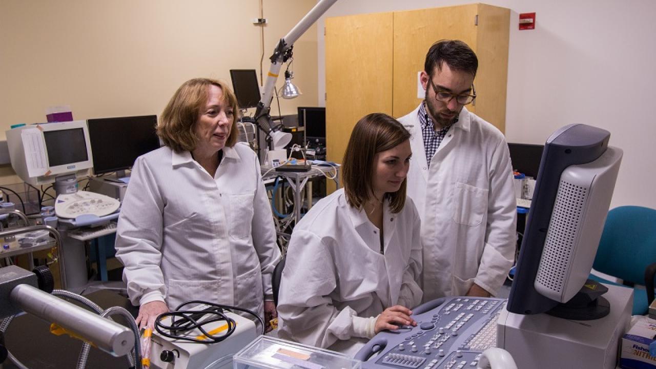Ferrara Lab