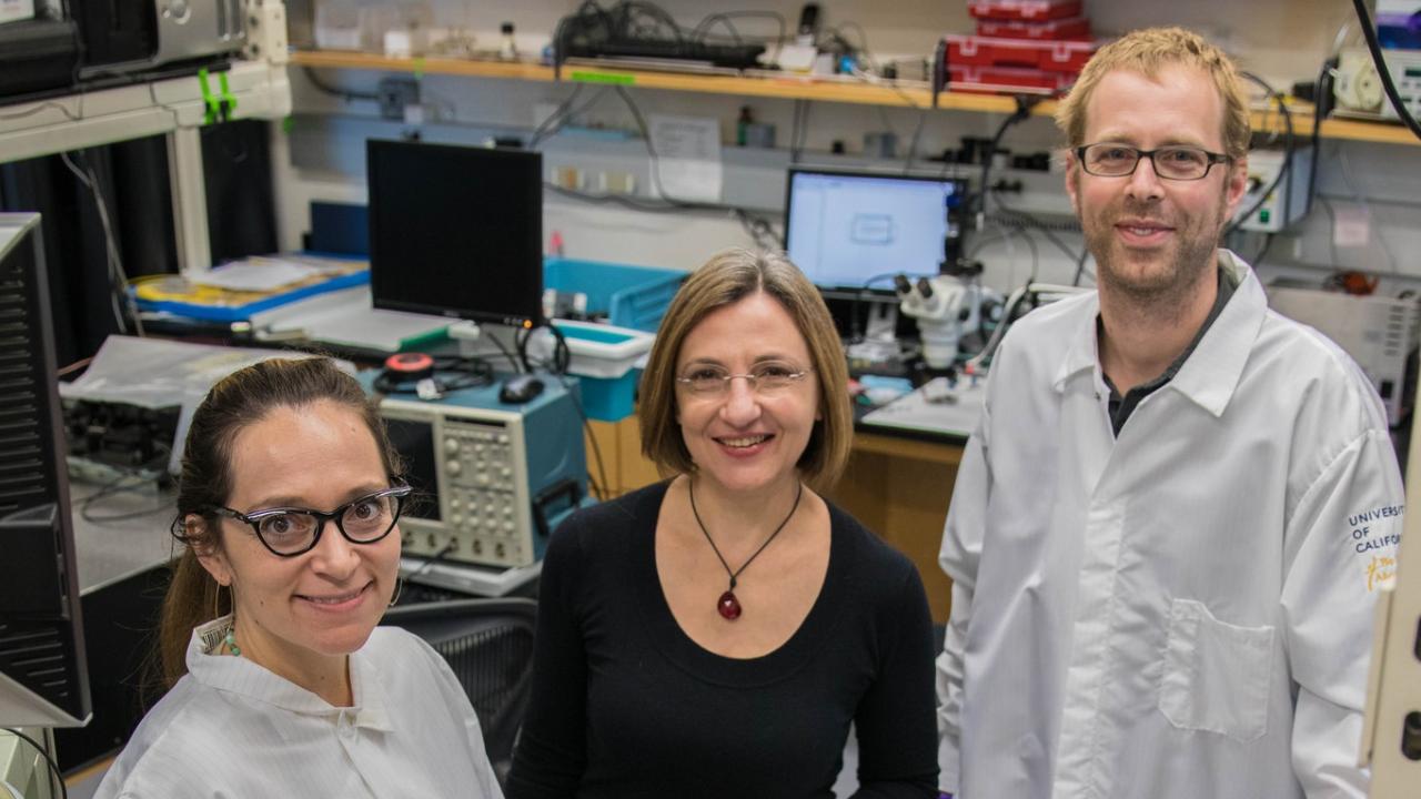 Marcu Lab