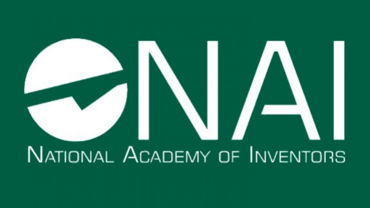 NAI Logo