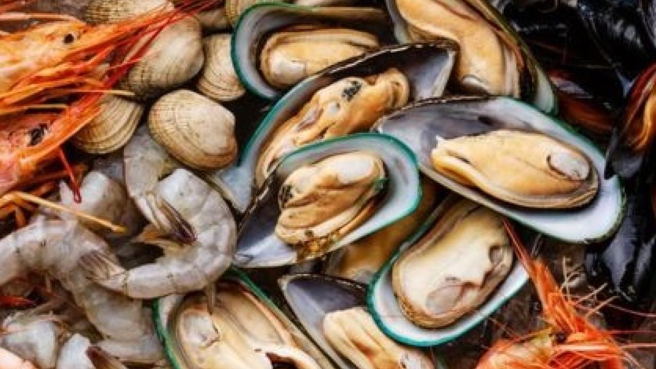 Shellfish Allergy
