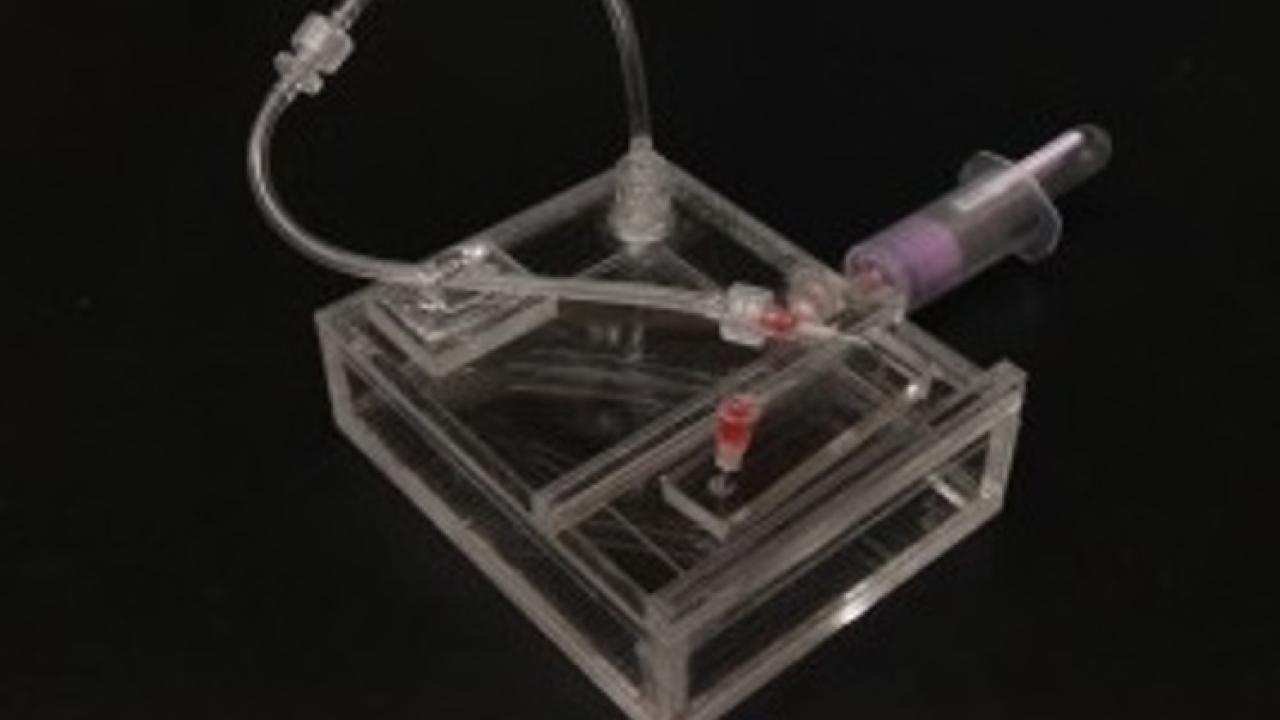 Simon Lab