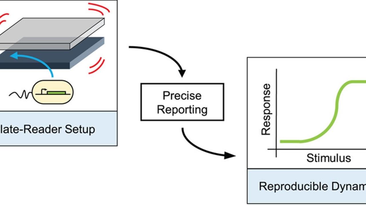 Reproducibility of High-Throughput Plate-Reader Experiments in Synthetic Biology