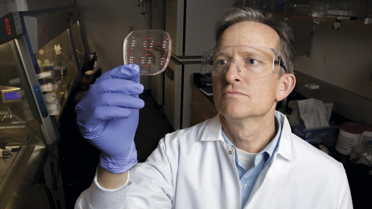 Professor Steven C. George with a mircofluidic device. uc davis biomedical engineering model atrial fibrillation heart chip steven george