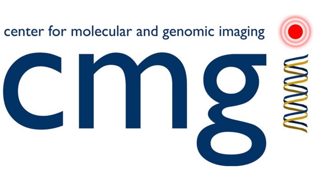 uc davis biomedical engineering cmgi quantitative image analysis service