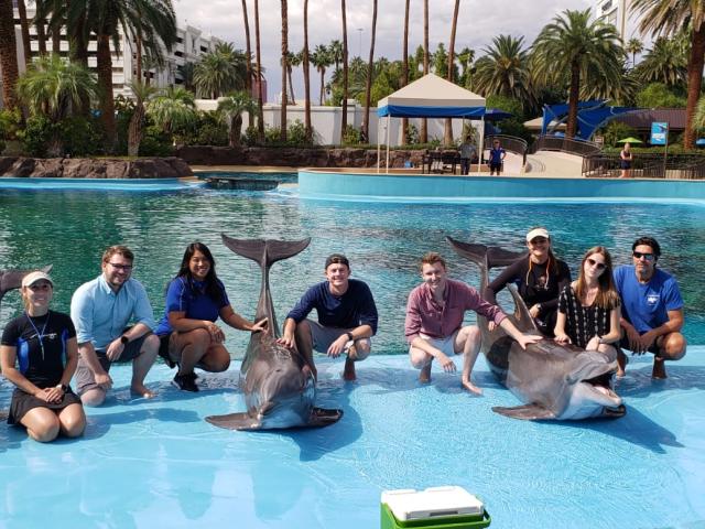 Christina Davis and others pose for a picture with dolphins