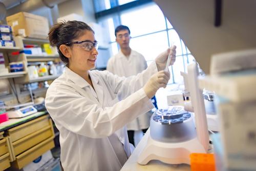 UC Davis grad student Leora Goldbloom-Helzner working in a lab with PPE on