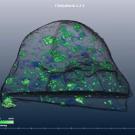 Meteorite Scan