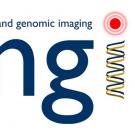 uc davis biomedical engineering cmgi quantitative image analysis service