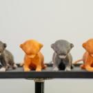 Four 3D printed kitten models