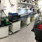 Roomful of equipment and tables