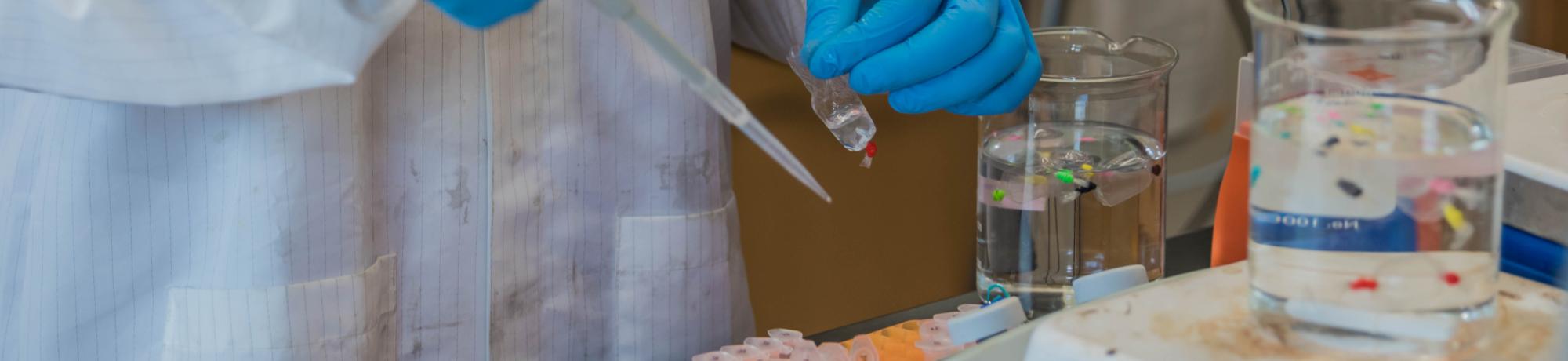 uc davis biomedical engineering careers